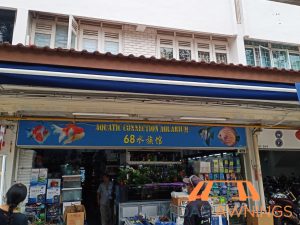 retractable-awning-installation-services-midas-awnings-singapore-commercial-geylang-3